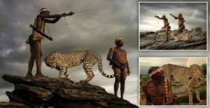 Οι ατρόμητοι κυνηγοί της φυλής San: Κυνηγούν χρησιμοποιώντας τόξα και βέλη παρέα με ένα άγριο τσιτάχ [Εικόνες]