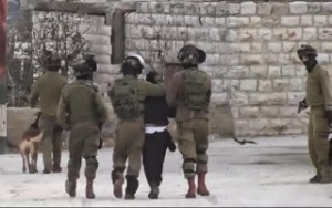 Σοκ: Ισραηλινοί στρατιώτες ρίχνουν Παλαιστίνιο σε μανιασμένα σκυλιά - Σάλος έχει προκληθεί