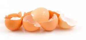Δείτε πως μπορούν να σας φανούν χρήσιμα τα τσόφλια των αυγών !!