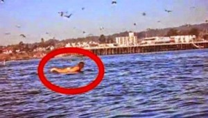 Φάλαινα προσπάθησε να καταπιεί κοπέλα-σέρφερ! (vid)