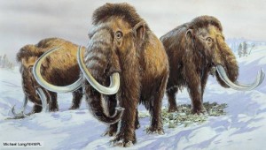 Σιβηρία: Θα κλωνοποιήσουν μαμούθ ηλικίας 28.000 ετών