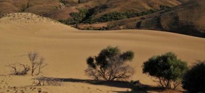 Κι όμως υπάρχει έρημος στην Ελλάδα – Η «Σαχάρα» της Λήμνου