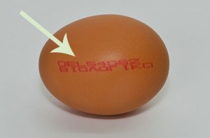 ΠΡΟΣΟΧΗ: Τί πρέπει να προσέχουμε και να γνωρίζουμε όλοι για τον κωδικό στα αυγά που αγοράζουμε