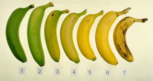 Ποια απ’ αυτές τις μπανάνες είναι η πιο υγιεινή επιλογή και γιατί; H απάντηση σίγουρα θα σας διαψεύσει!