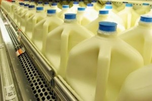 Επιστήμονας του Harvard: “Σταματήστε τώρα αμέσως να πίνετε γάλα με Χαμηλά Λιπαρά!”