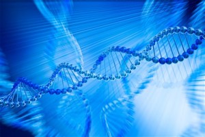 «Δανεικά» γονίδια από άλλα είδη περιέχει το ανθρώπινο DNA
