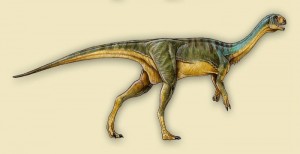 Απολιθώματα άγνωστου μέχρι σήμερα είδος δεινοσαύρου εντόπισαν παλαιοντολόγοι στην Χιλή