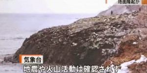 Λίγες ώρες πριν τον φονικό σεισμό στο Νεπάλ η Γη στην Ιαπωνία σηκώθηκε 300 μέτρα. ΤΙ ΣΥΜΒΑΙΝΕΙ;