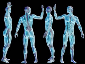 31 περίεργες πληροφορίες για το ανθρώπινο σώμα