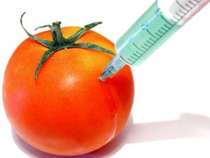 Πως θα ΞΕΧΩΡΙΖΕΤΕ τα ΜΕΤΑΛΛΑΓΜΕΝΑ GMO από τα ΦΥΣΙΚΑ !!