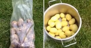 Το απόλυτο κόλπο για να να καθαρίσετε μια σακούλα πατάτες σε λιγότερο από ένα λεπτό (Video)