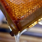 Μέλι, το δώρο των θεών στον άνθρωπο και στην φύση