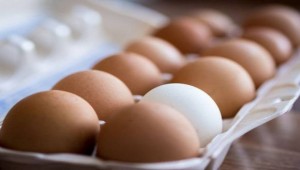 Ληγμένα αυγά; Μην τα πετάξετε - Διαβάστε πόσο χρήσιμα μπορούν να σας φανούν!