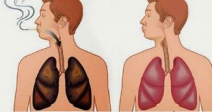 Αυτό το ξέρατε; Υπάρχουν τροφές που καθαρίζουν τα πνευμόνια σας ... Δείτε!