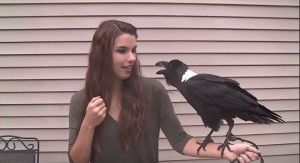 Γνωρίζατε ότι τα κοράκια μπορούν να μιλήσουν; Αν όχι δείτε το βίντεο και θα αλλάξετε γνώμη (video)