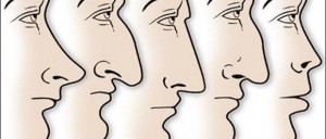 Τι αποκαλύπτει το σχήμα της μύτης σας για την προσωπικότητά σας;