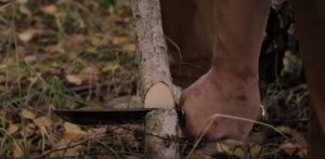Κόβει μέχρι και κορμούς δέντρων! – Αυτό είναι ίσως το πιο κοφτερό μαχαίρι που έχετε δει (video)