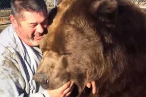 Ακούγεται και μοιάζει απίστευτο..κι όμως αυτή η αρκούδα εχει κολλητό εναν άνθρωπο!! (βίντεο)