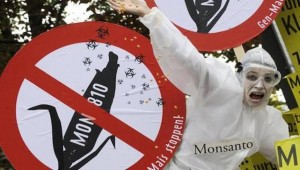 Η Monsanto χρησιμοποίησε βακτήρια που επιβιώνουν σε τοξικά απόβλητα και τα έβαλε στο φαγητό μας [βίντεο]