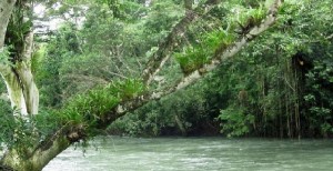 Εξαφανίστηκε εν μία νυκτί ο ποταμός Atoyac στο Μεξικό [Βίντεο]
