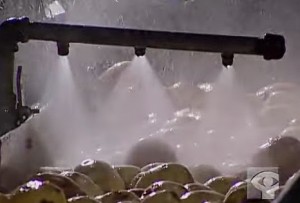 Πώς φτιάχνονται τα πατατάκια: ΑΝΑΤΡΙΧΙΑΣΤΙΚΟ βίντεο από εργοστάσιο που θα σας κόψει την όρεξη... [video]