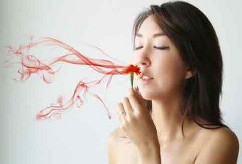 TO HΞΕΡΕΣ;;; Πόσες μυρωδιές μπορεί να ξεχωρίσει η μύτη μας;;;