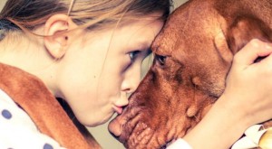 Φιλάς κι εσύ τον σκύλο σου; Και πολύ καλά κάνεις! – Δες που σε οφελεί