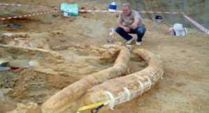 Απολιθωμένοι χαυλιόδοντες 4 εκ. ετών ανακαλύφθηκαν στη Νιγρίτα Σερρών [Βίντεο]