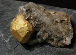 Gold Crystal on Quartz. Bull Creek District. Mariposa Co., Calif. (Collection of the California State Mining and Mineral Museum.)