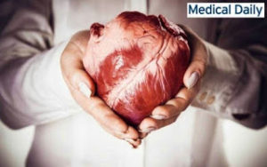 Αναρωτηθήκατε ποτέ γιατί ΔΕΝ εμφανίζουμε καρκίνο στην καρδιά;