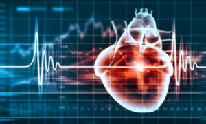 Έλληνες δημιούργησαν καρδιακά κύτταρα από βλαστοκύτταρα – Τι σημαίνει αυτό για τις θεραπείες