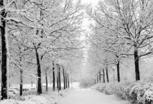 Μερομήνια 2016: Έρχεται βαρύς χειμώνας - Κρύο και χιόνια!