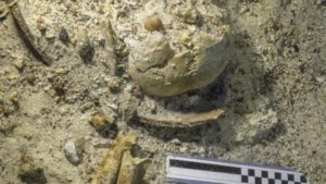 Βρέθηκε κρανίο και οστά ανθρώπου που πνίγηκε στο Ναυάγιο των Αντικυθήρων