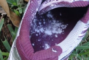 Αυτή είναι η σκόνη που πρέπει να βάλετε στα παπούτσια σας για να μη μυρίζουν στο σπίτι (video)