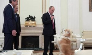 Ο Σκύλος του Πούτιν αγρίεψε και τρομοκράτησε Ιάπωνες δημοσιογράφους! (VIDEO)