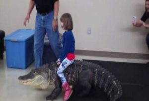 Είμαστε με τα καλά μας; Άφησε το παιδί τους να κάνει βόλτα στη ράχη τεράστιου αλιγάτορα! (video)