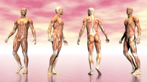 Δείτε 30 παράξενες αλήθειες: Το σώμα έχει υπεράνθρωπες δυνατότητες τις οποίες γνωρίζουν λίγοι