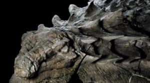 Βρέθηκε «ζωντανό» απολίθωμα δεινοσαύρου στον Καναδά