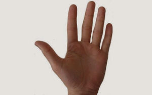 Το γνωρίζατε; Γιατί έχουμε 5 δάκτυλα;
