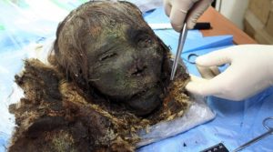 Η «Πριγκίπισσα των Πάγων»: Εκπληκτικά διατηρημένη μούμια γυναίκας βρέθηκε στον Αρκτικό Κύκλο