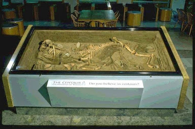 Ο τάφος με το σκελετό του κενταύρου του Βόλου