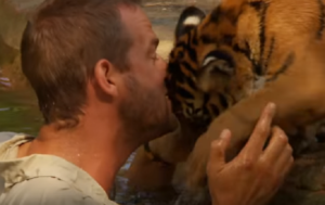 Φύλακας ζωολογικού κήπου μαθαίνει μια μικρή τίγρη να κολυμπάει-Δείτε το τρυφερό βίντεο