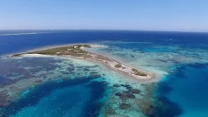 Αυτοψία στο «Νησί του τρόμου», εκεί που έγινε η πρώτη μαζική δολοφονία πριν 400 χρόνια