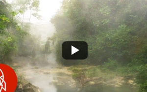 Ποτάμι του Αμαζονίου θυμίζει «καζάνι που βράζει» - Ότι πλησιάζει πεθαίνει!