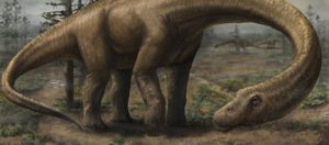 Βρέθηκε απολίθωμα δεινόσαυρου με μέγεθος λεωφορείου!