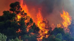Συνεχίζεται η «μάχη» με τις φλόγες σε Ηλεία, Κορινθία, Κρήτη και Αυλώνα - 130 δασικές πυρκαγιές το τελευταίο 24ωρο