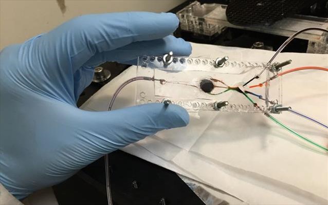 3D εκτυπωτής που δημιουργεί βιολογικούς ιστούς