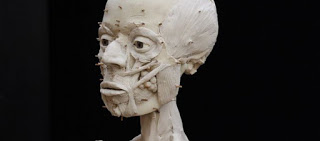 Πώς έμοιαζαν οι άνθρωποι 9.000 χρόνια πριν (φωτό)