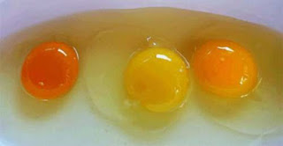 Μην τρώτε ποτέ αυγά με κίτρινο κρόκο!