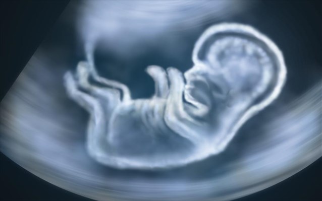 Έρευνα ανοίγει τον δρόμο για δημιουργία τεχνητών εμβρύων